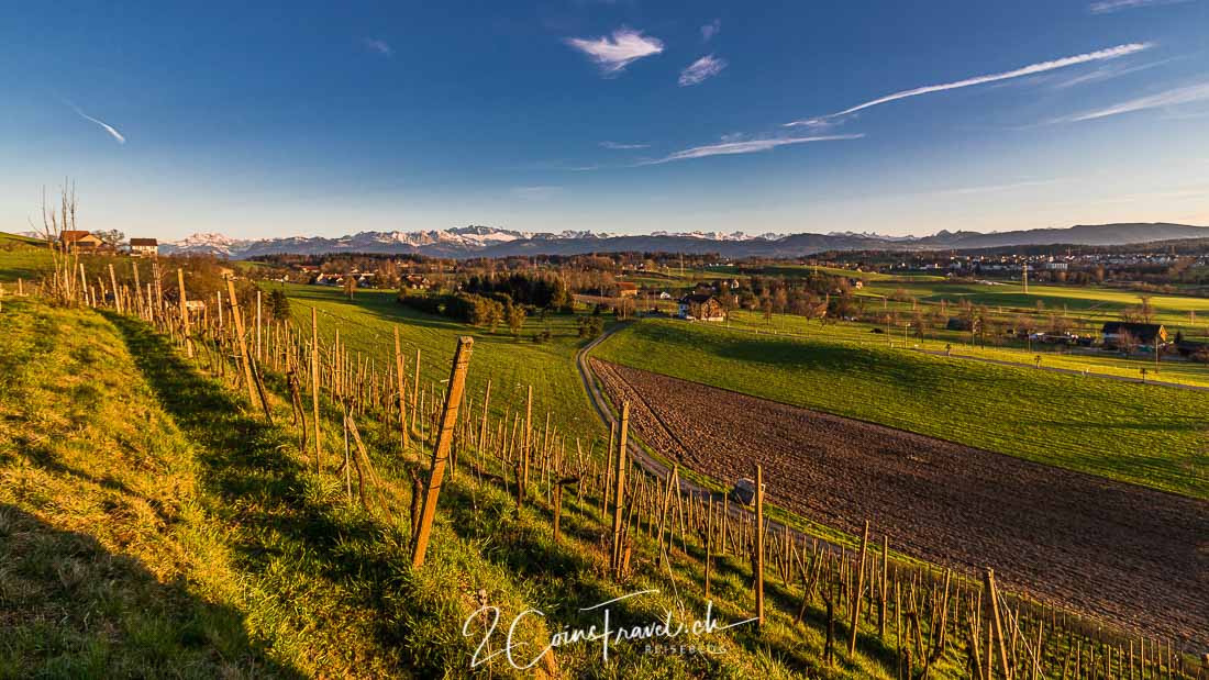 Zürcher Oberland Gossau