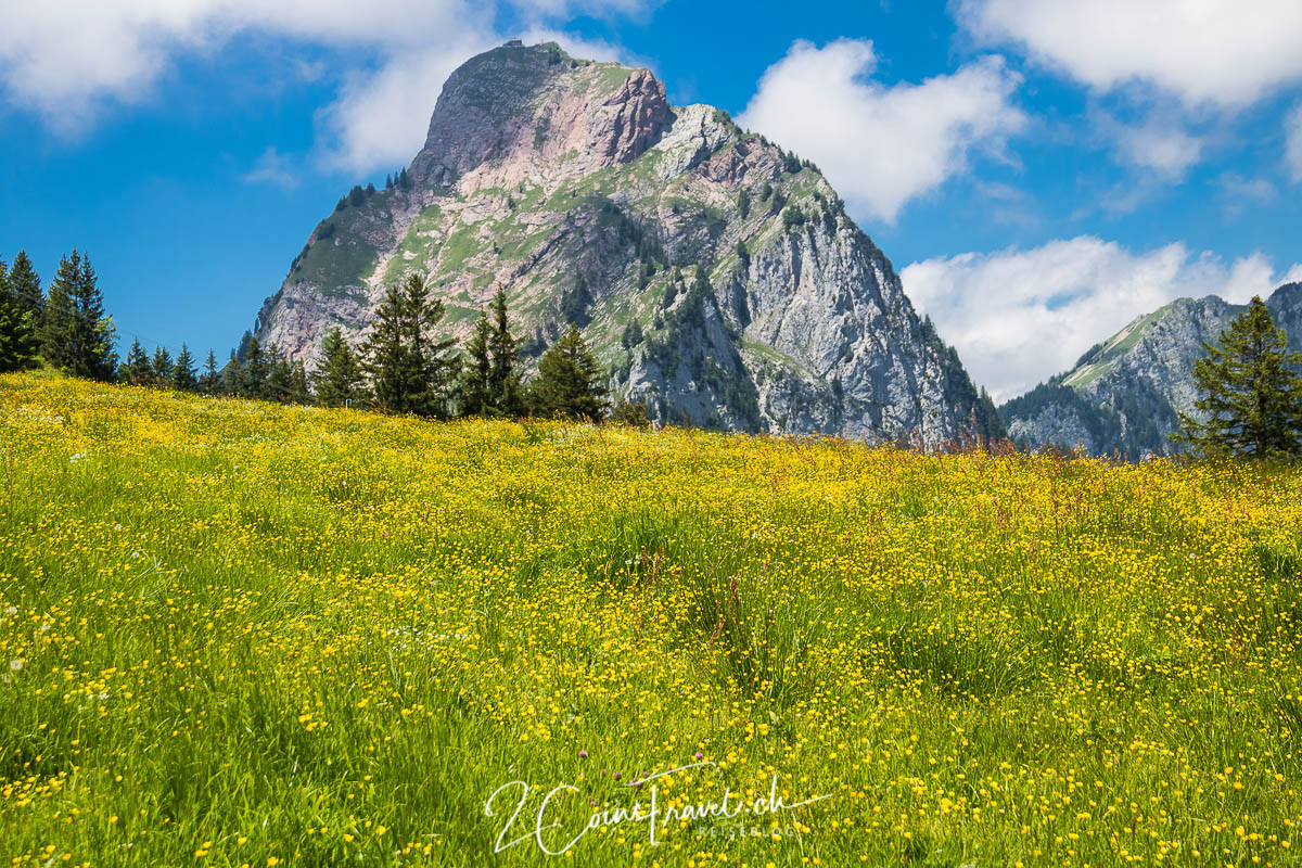 Wanderung zu Furggelenstock