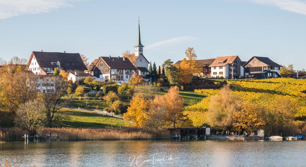 Juckerfarm am Pfäffikersee