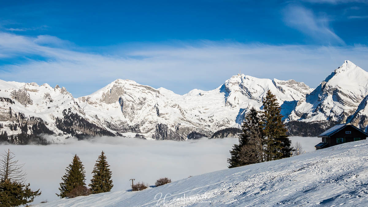 Alpstein und Säntis im Nebel