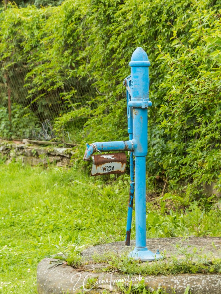 Wasserpumpe