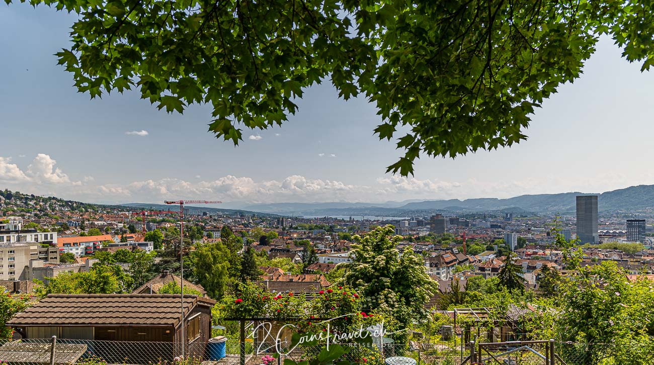 Zürich Käferberg Aussichtspunkt
