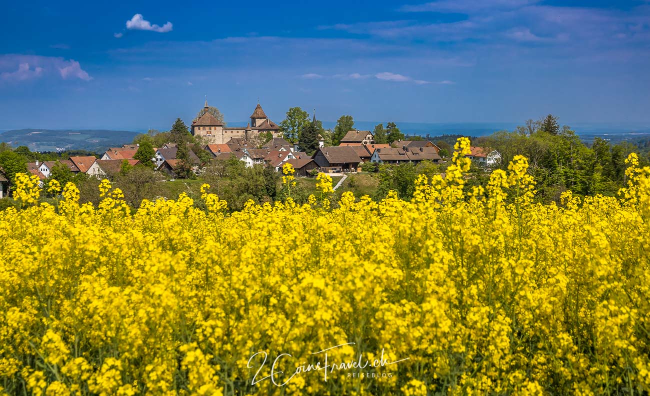 Rundwanderung Kyburg