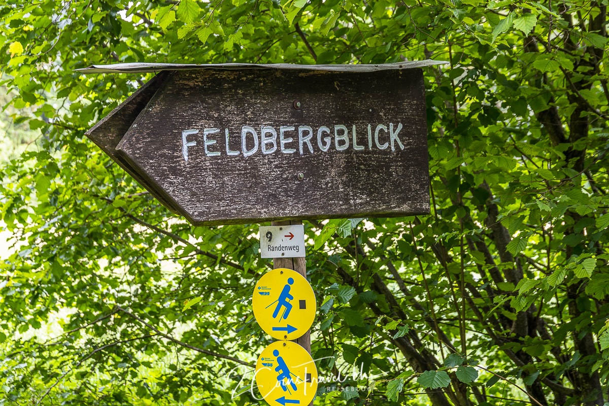 Feldbergblick Randenhof
