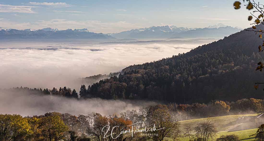 Nebelmeer Genfersee