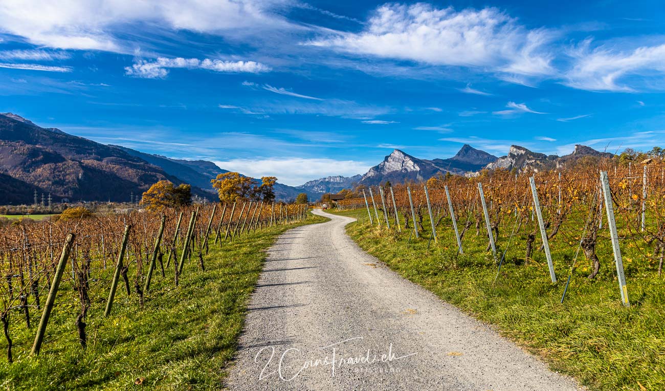 Herbstwanderung Weinberge Bündner Herrschaft