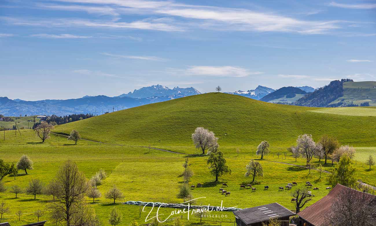 Drumlindlandschaft