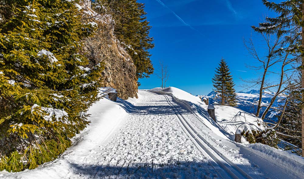 Winterwanderweg Rigi Scheidegg