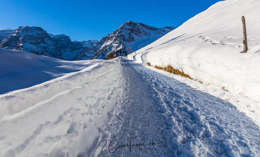 Winterwanderweg Nussbüel