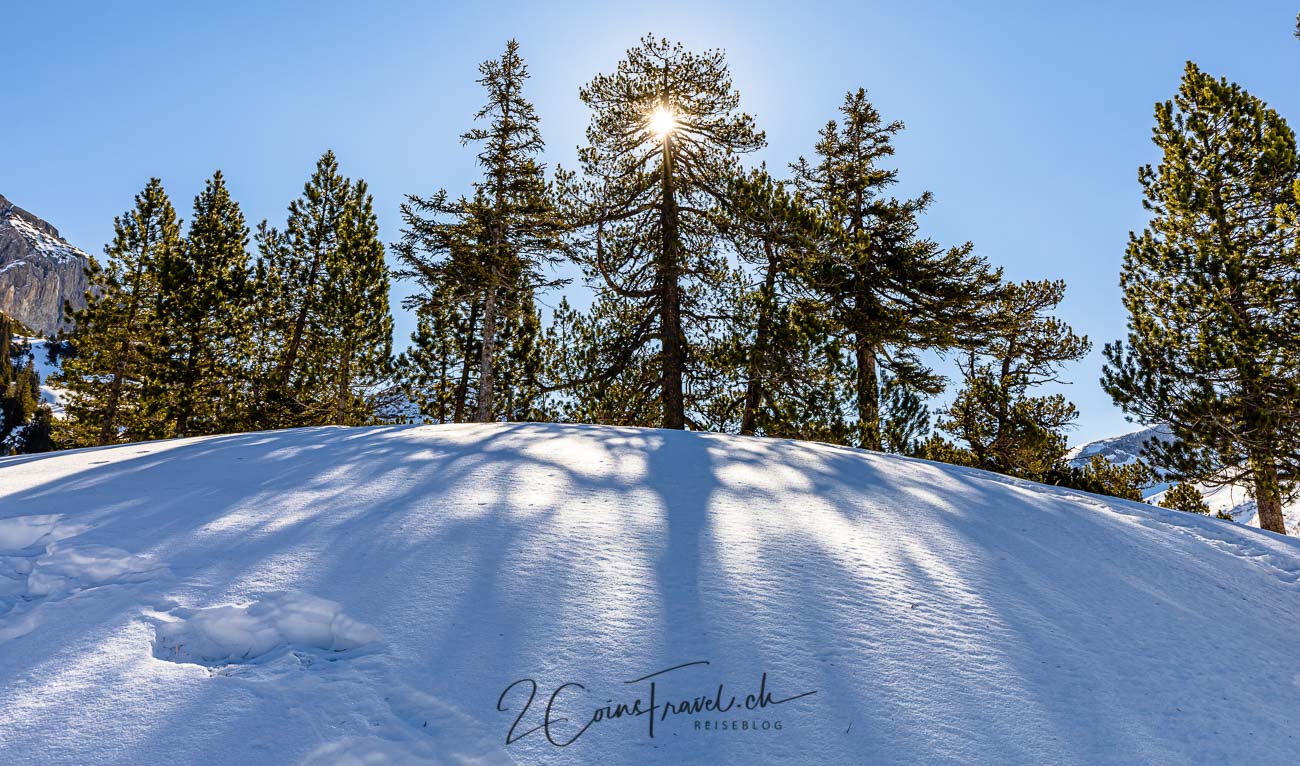 Sonne Baum Schnee