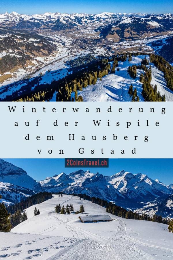 Pinterest Wispile Winter