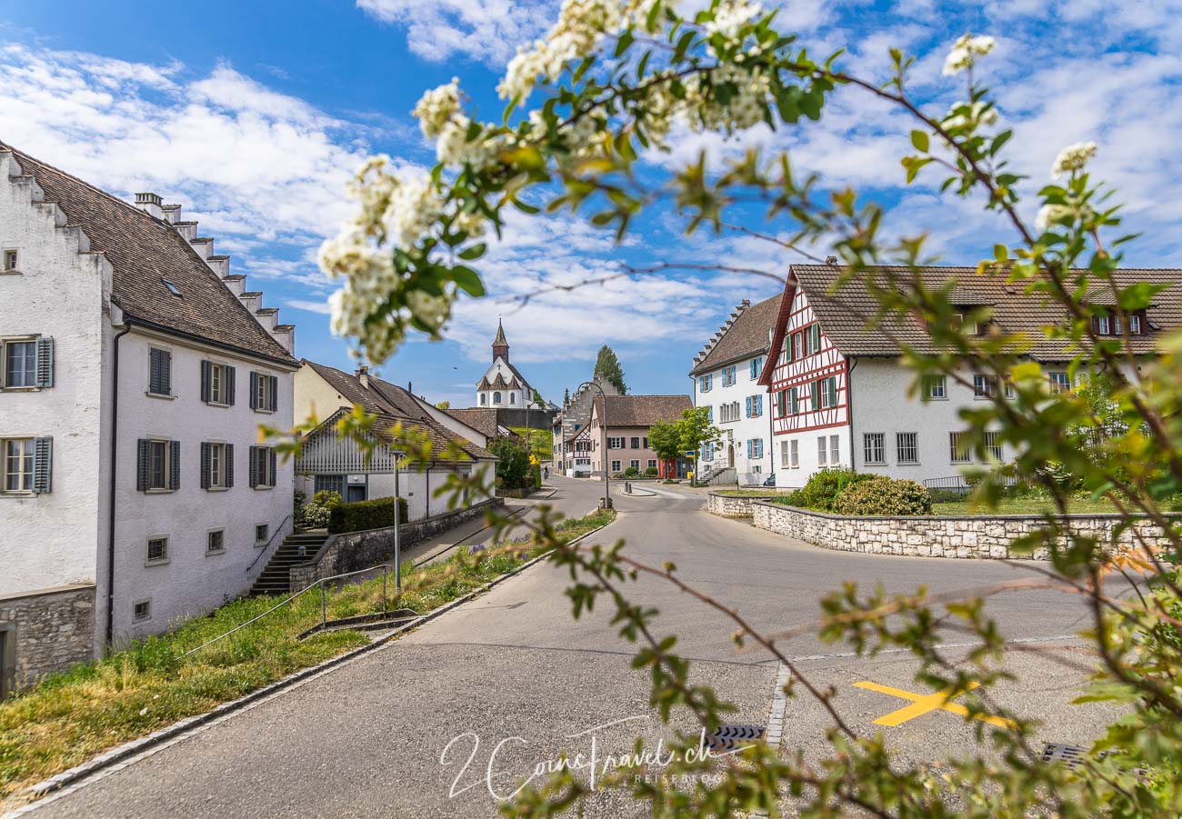 Dorfstrasse Rheinau