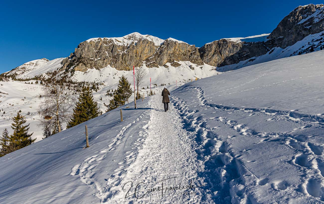 Winterwanderweg Hüenderegg