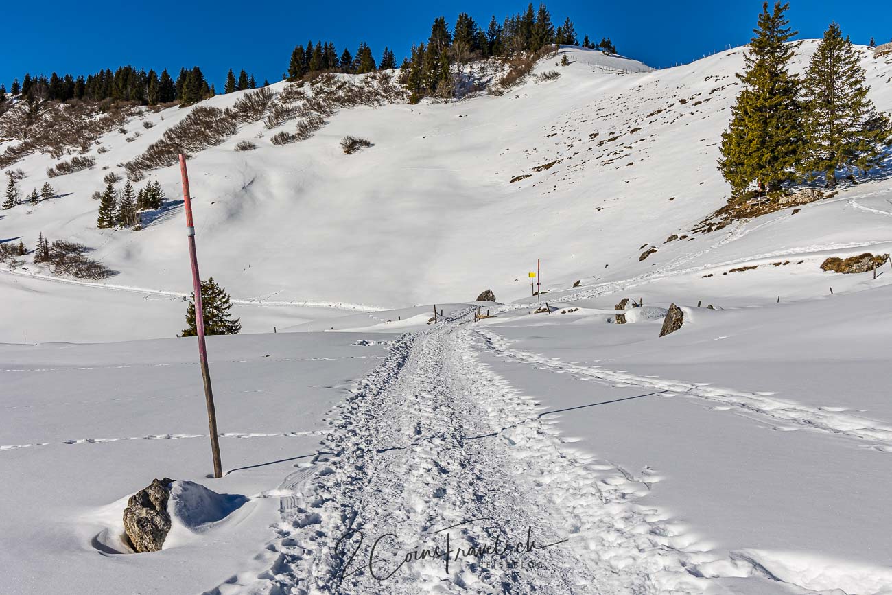 Winterwanderweg Fleschsee