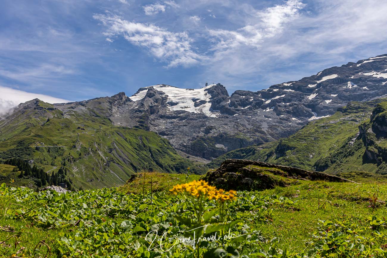 Ausblick auf Titlis