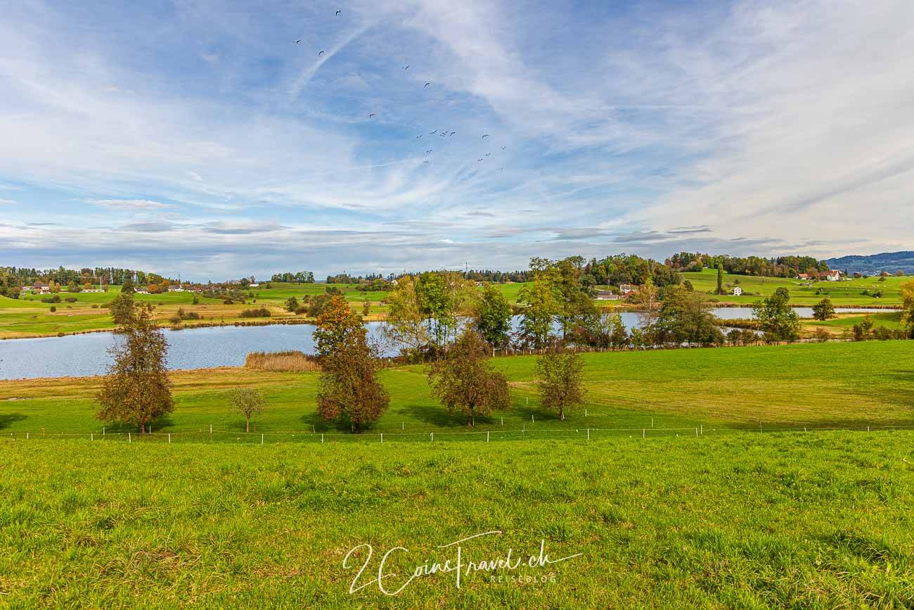 Rundwanderung Grüningen Lützelsee