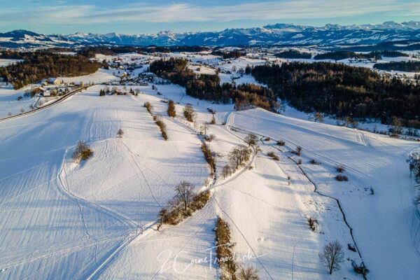Entdeckungstour durch die Drumlinlandschaft im Zürcher Oberland